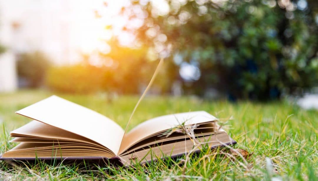 An open book with pages turning laying on the grass with the sun setting in the background