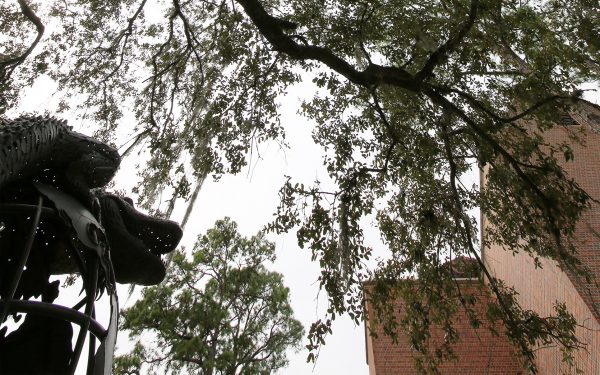 View looking up with the Gator Ubiquity Statue in the bottom left corner and tree branches in the frame and a brick building to the right.