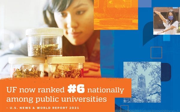 UF now ranked #6 nationally among public universities - US News and World Report