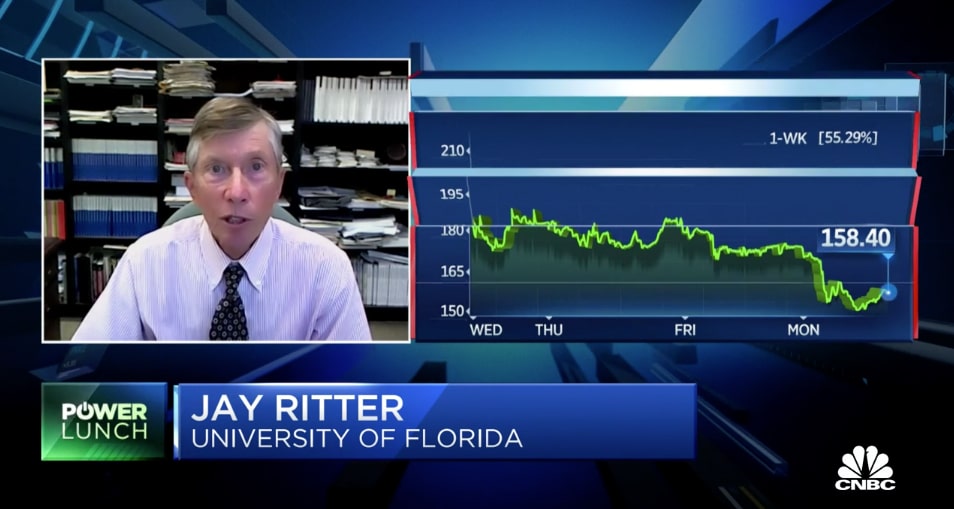 Jay Ritter interviewing on CNBC via Zoom about a potential IPO bubble. Next to his image is a downward trending graph about the performance of the Doordash IPO.