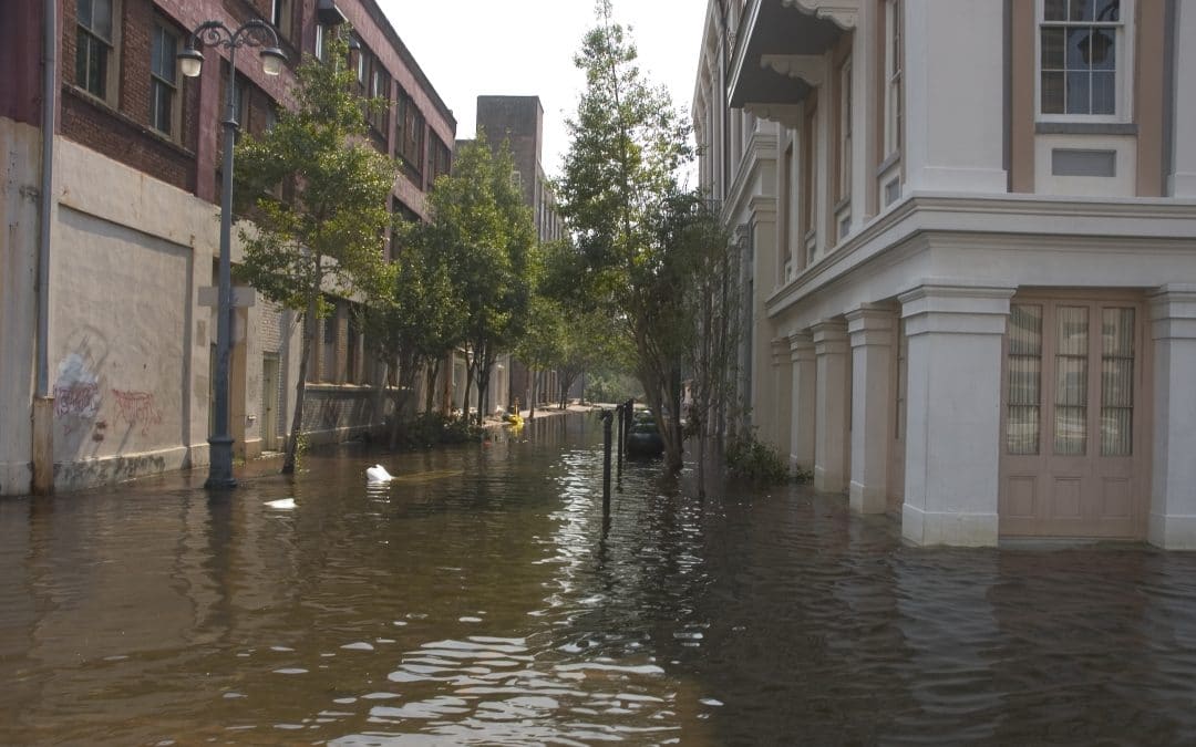 One of the less flooded steets in downtown New Orleans after Hurricane Katrina.